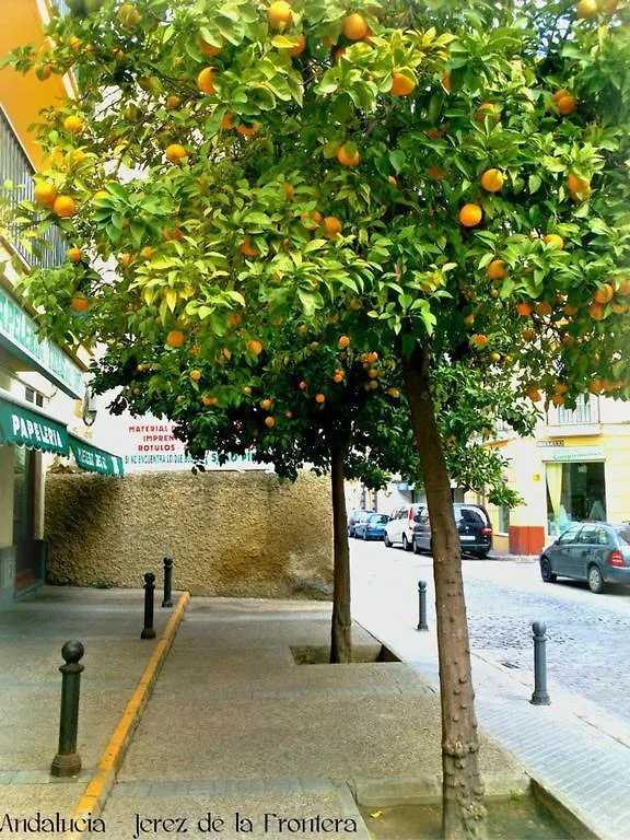 Hotel Al Andalus Jerez Jerez de la Frontera