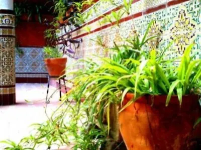 Al Andalus Jerez Hotel Jerez de la Frontera